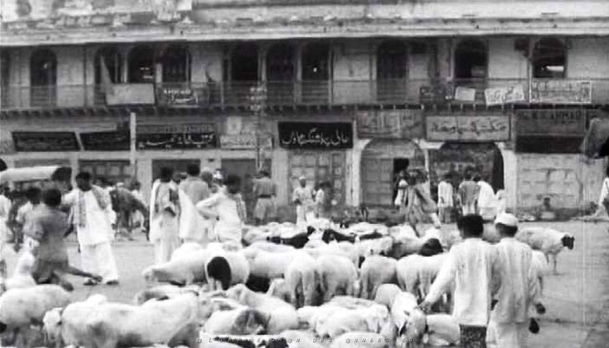 VALENCIENS EN ALGERIE 466.jpg